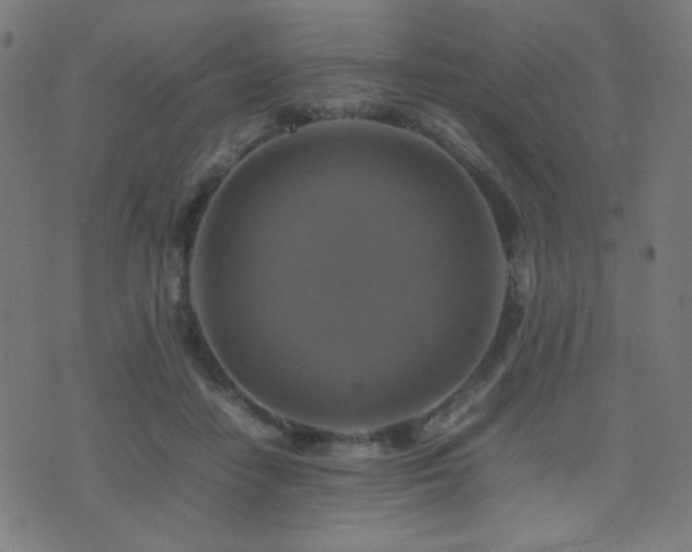 X0000075380458200609081209