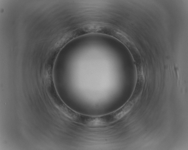 X0000075380460200609081209