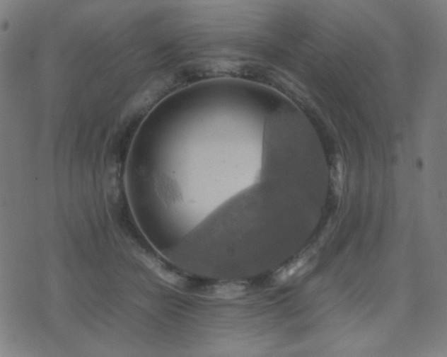 X0000075380462200609081209
