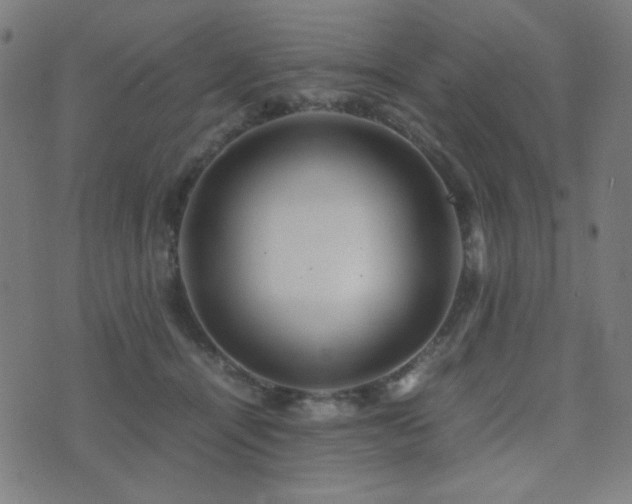 X0000075380464200609081209