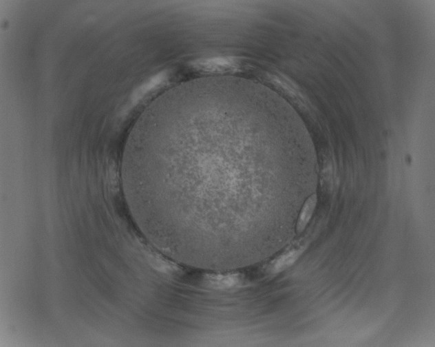 X0000075380469200609081209