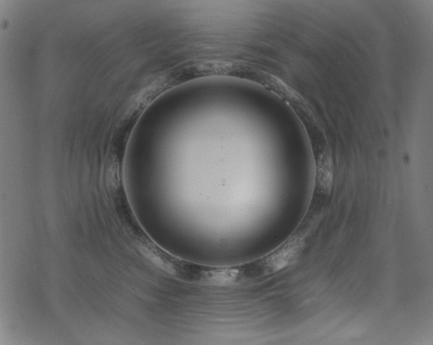 X0000075380474200609081209