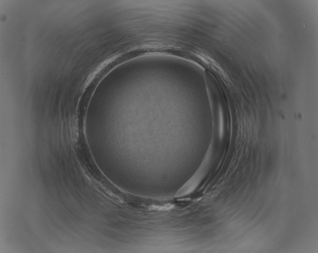 X0000075380484200609081208