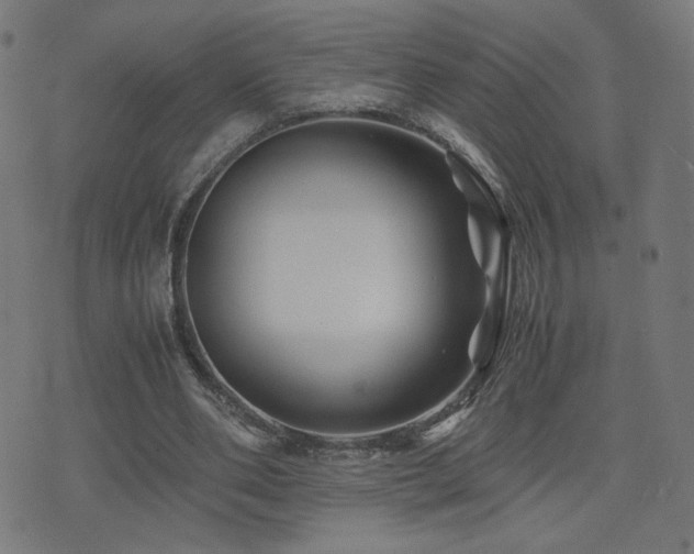 X0000075380486200609081208