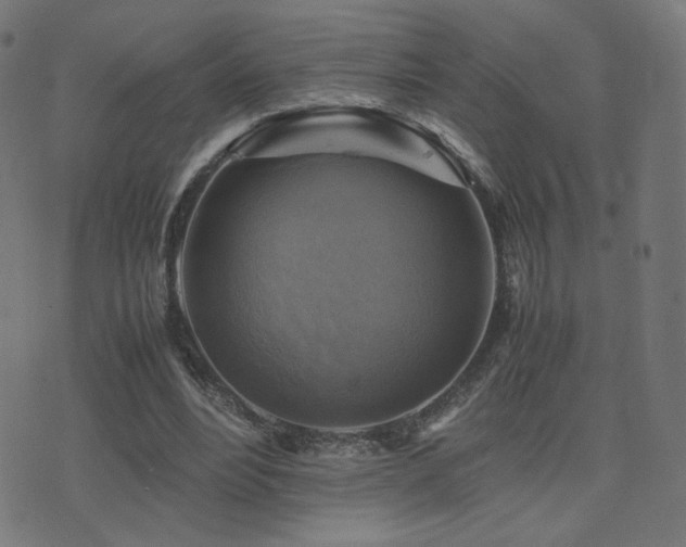 X0000075380488200609081208