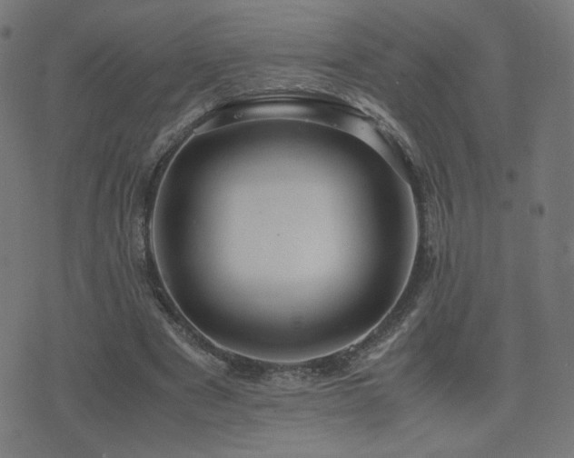 X0000075380489200609081208