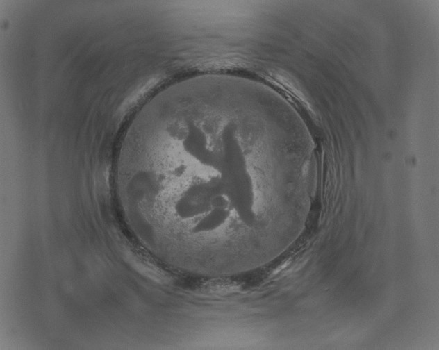 X0000075380491200609081208