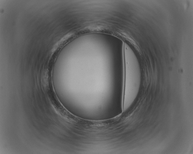 X0000075380492200609081208