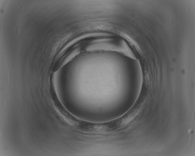 X0000075380493200609081208