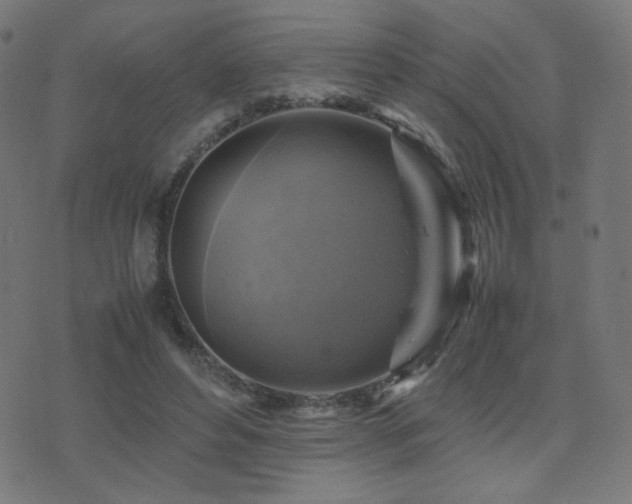 X0000075380496200609081208