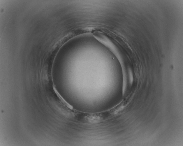 X0000075380512200609081208