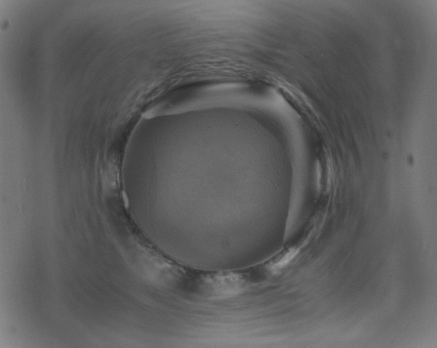 X0000075380517200609081208