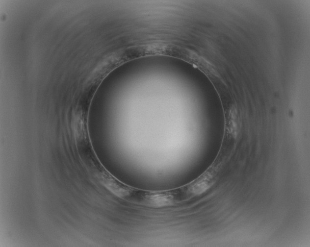 X0000075380522200609081208