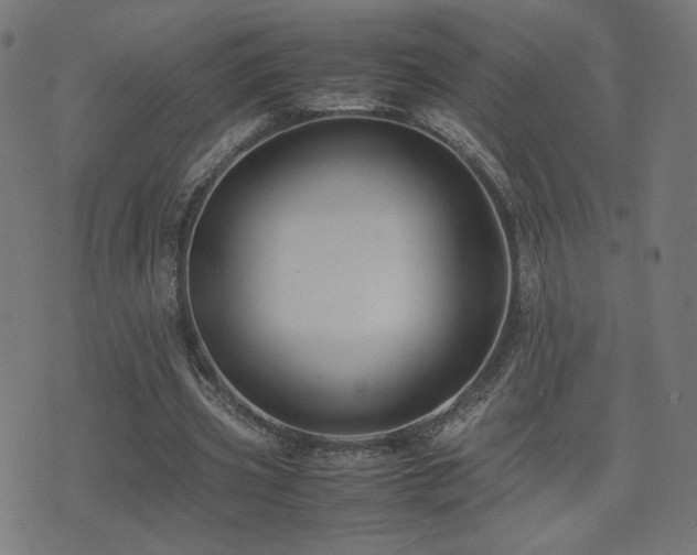 X0000075380533200609081207