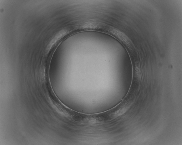 X0000075380534200609081207