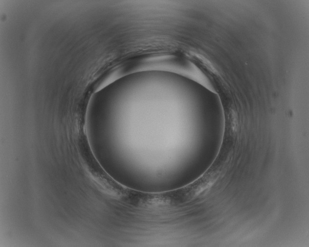 X0000075380546200609081207