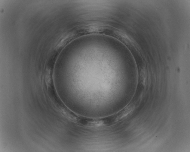 X0000075380554200609081207