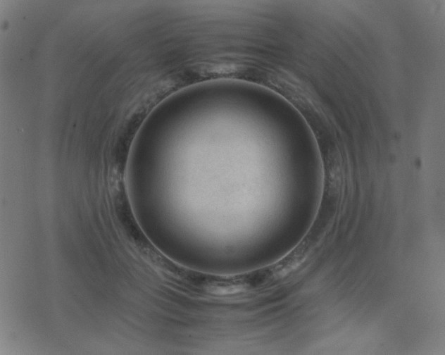 X0000075380555200609081207