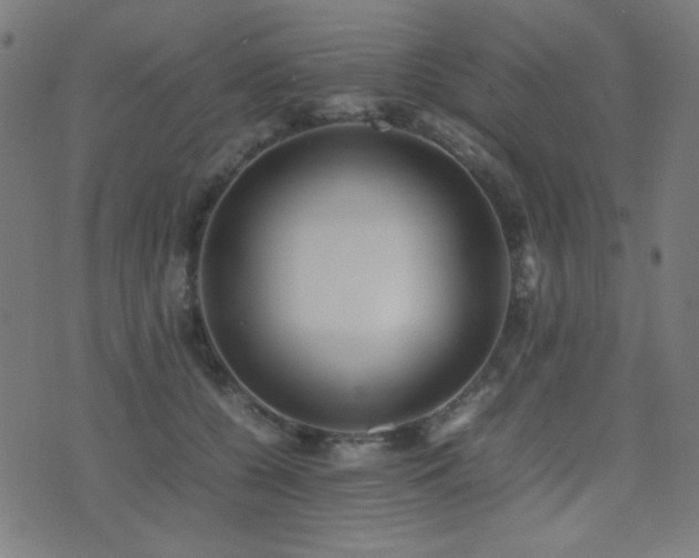 X0000075380560200609081207