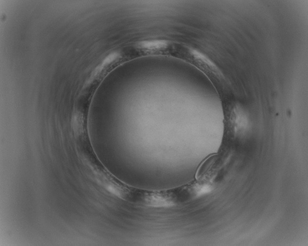 X0000075380565200609081207