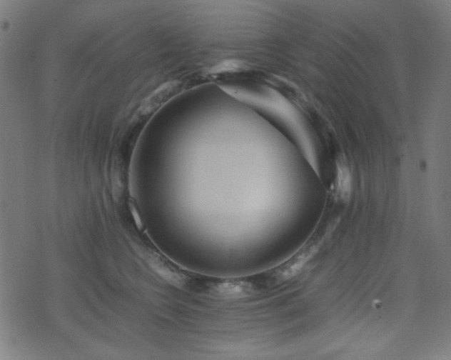 X0000075380566200609081207