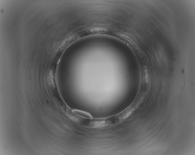 X0000075380575200609081208