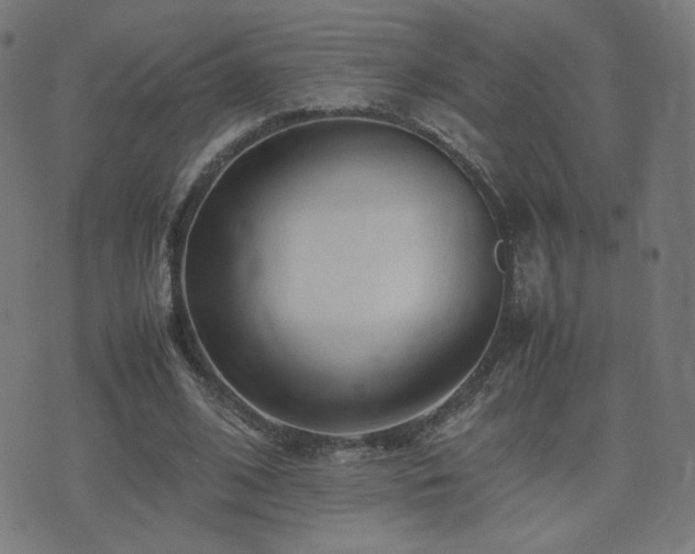 X0000075380584200609081207