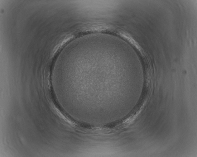 X0000075380585200609081207