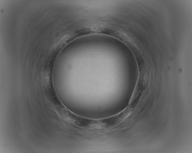 X0000075380595200609081207