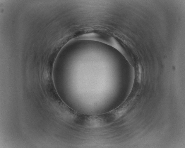 X0000075380608200609081206