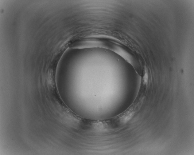 X0000075380616200609081206