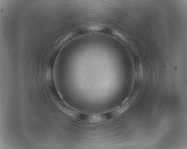 X0000075380623200609081206