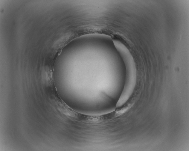 X0000075380624200609081206