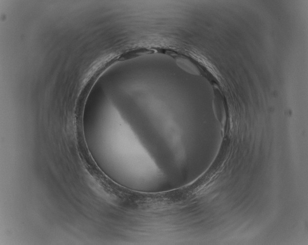X0000075380626200609081205