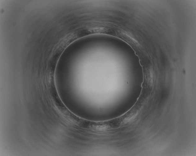X0000075380645200609081206