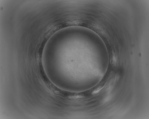 X0000075380647200609081206