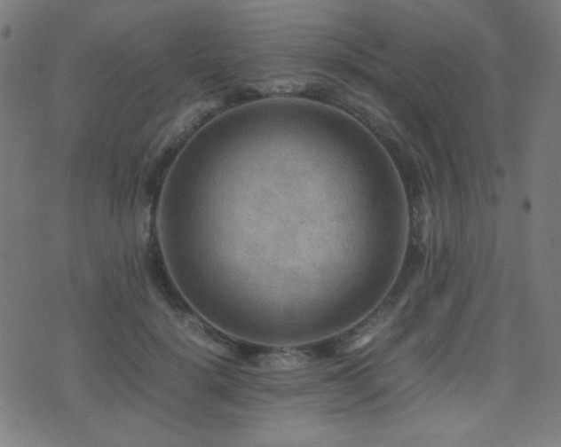 X0000075380652200609081206