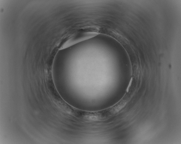 X0000075380655200609081206