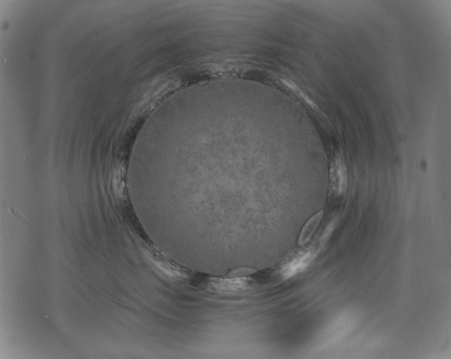 X0000075380671200609081206