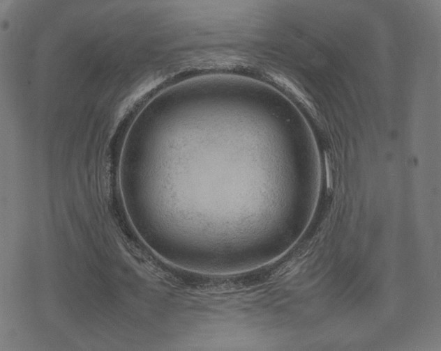 X0000075380675200609081205