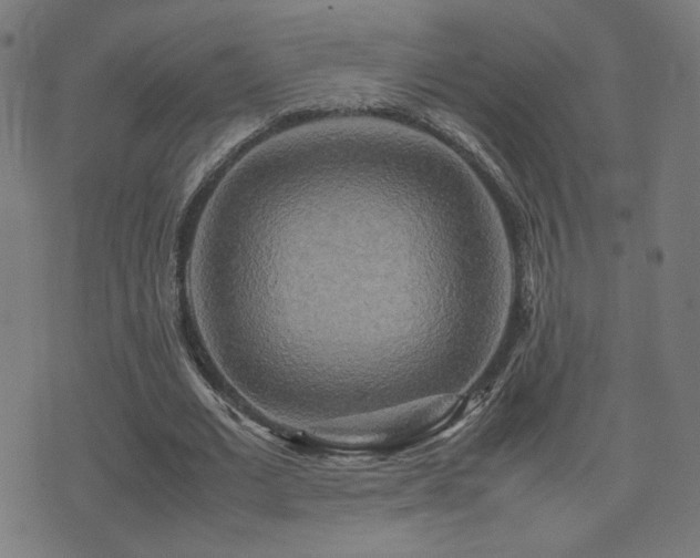 X0000075380677200609081205