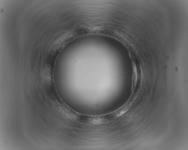 X0000075380710200609081205