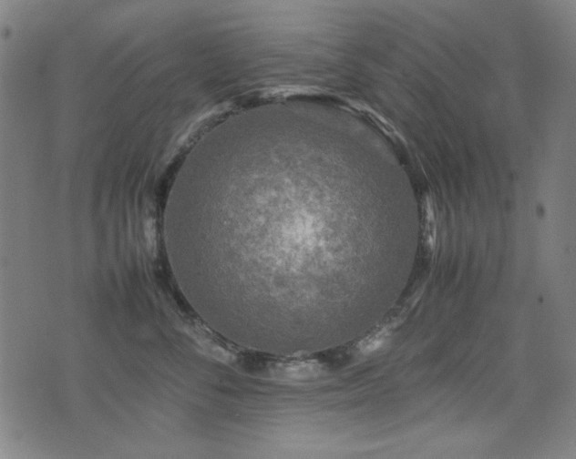 X0000075380716200609081205