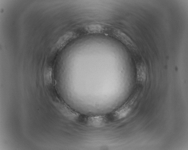 X0000075380717200609081205