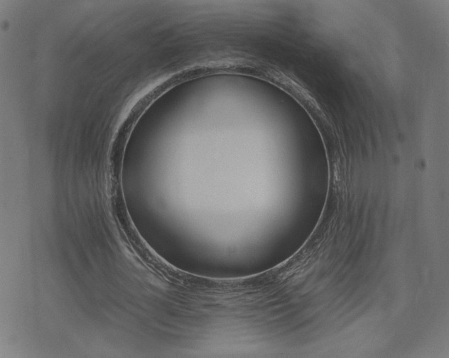 X0000075380724200609081204