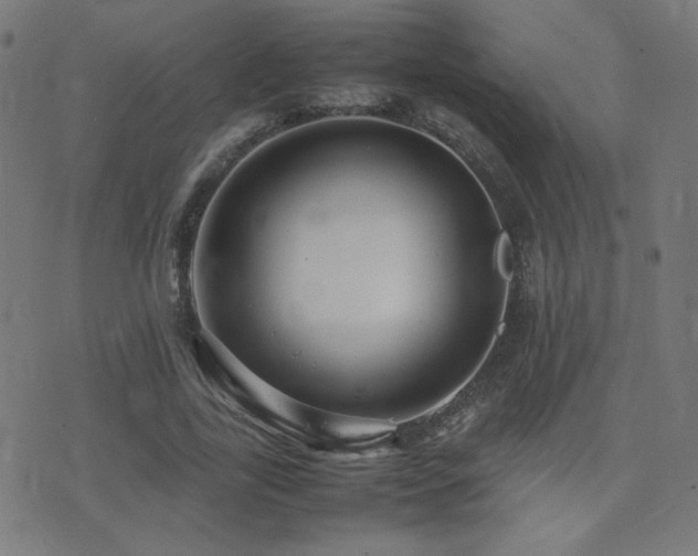 X0000075380731200609081204