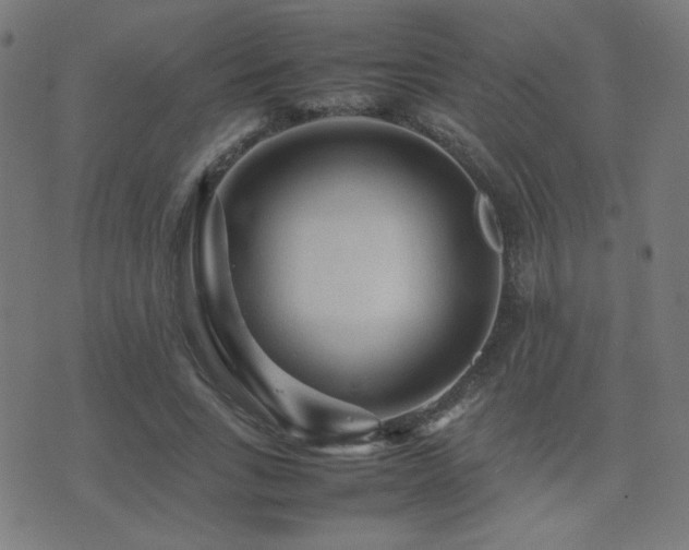 X0000075380735200609081204