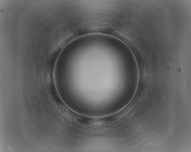 X0000075380746200609081204
