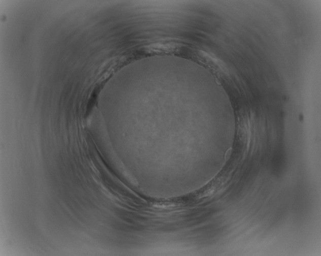 X0000075380749200609081204