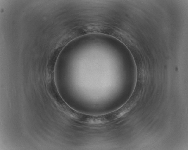 X0000075380751200609081204